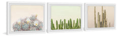 Floral Cactus Triptych