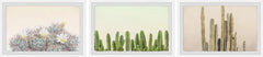 Floral Cactus Triptych
