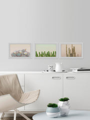 Floral Cactus Triptych