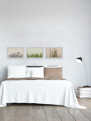 Floral Cactus Triptych