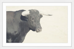 White Antlers