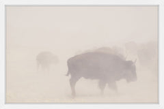 Herd in the Fog