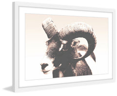 Eye of Ram