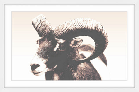 Eye of Ram