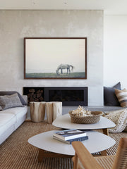 Lone Horse Grazing