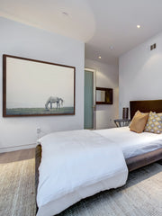 Lone Horse Grazing