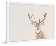 Buck Stare 2