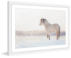 Horse Stands Still