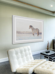 Horse Stands Still