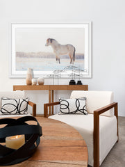 Horse Stands Still