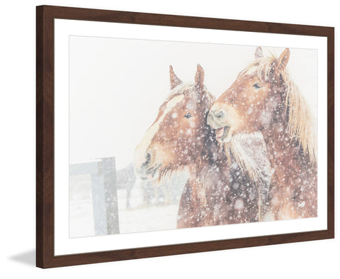 Happy Horses