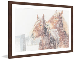 Happy Horses