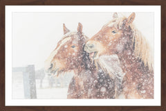 Happy Horses