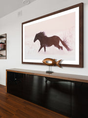 Black Beauty Gallops