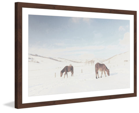 Two Horses
