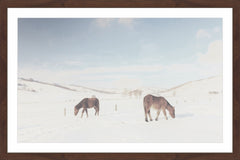 Two Horses