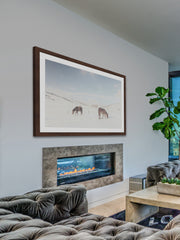 Two Horses
