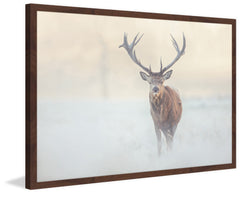 The Lone Buck