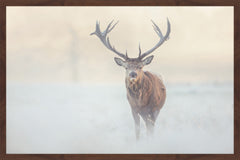 The Lone Buck