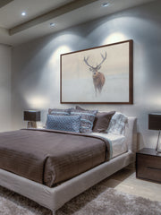 The Lone Buck