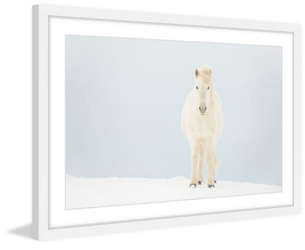 White Horse Comes