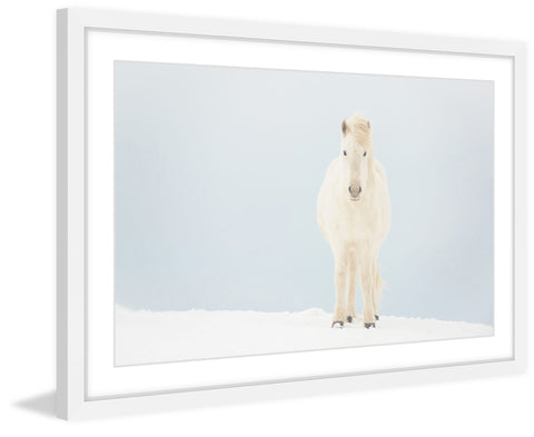 White Horse Comes