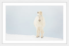 White Horse Comes