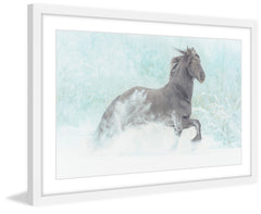 Frolicking Equus