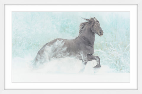 Frolicking Equus