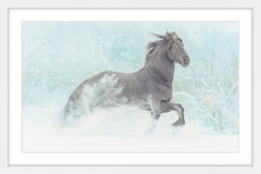 Frolicking Equus