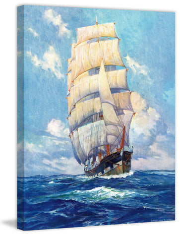 Lots of Sails