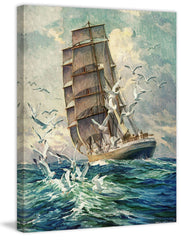 Seagulls in Motion