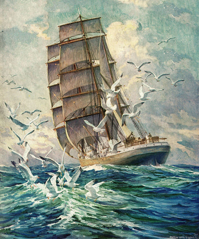 Seagulls in Motion