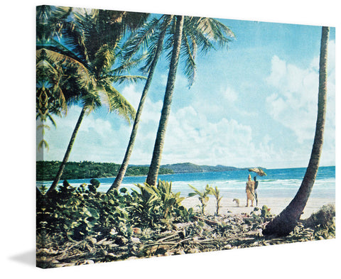 Leaning Palms