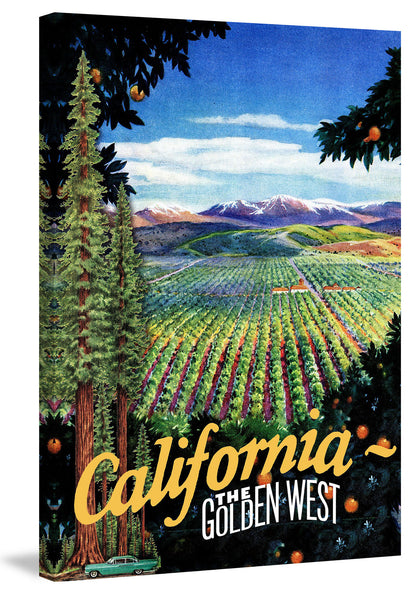 Travel Poster California