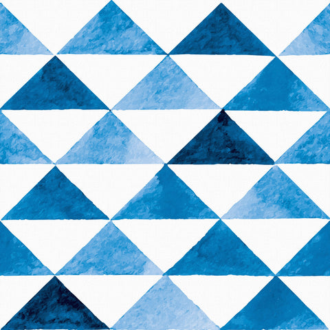 Geometric Plan