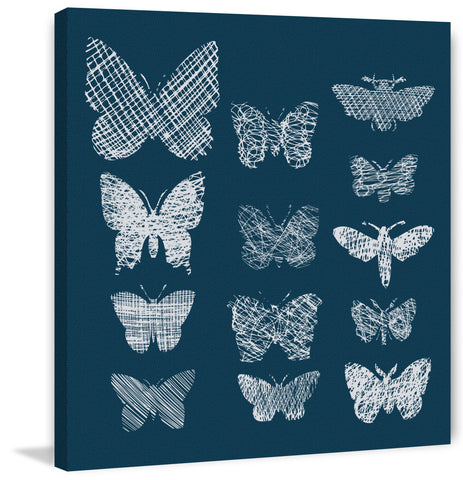 Patterned Moths