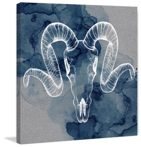 Ram Outline