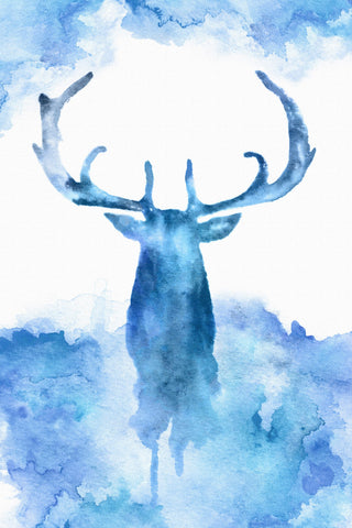 Blue Moose