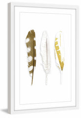 Vanishing Feather