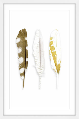 Vanishing Feather