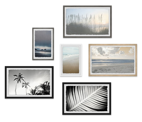 Nature's Exhibitions Hexaptych