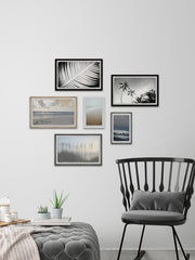 Nature's Exhibitions Hexaptych