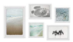 Seashells for Seychelles Pentaptych