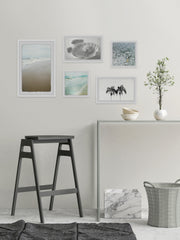 Seashells for Seychelles Pentaptych