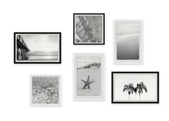 Chromatic Coasts Hexaptych