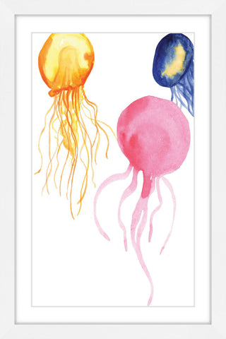 Jellyfish