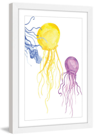 Jellyfish 2