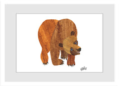 Front Cover Brown Bear