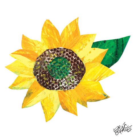 Yellow Sunflower